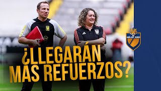 ¿Habrá más fichajes en Tigres Femenil Lo que dijo Milagros Martínez [upl. by Duester]