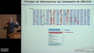 Immunité anti infectieuse  cas clinique  infection MNI [upl. by Hennie]