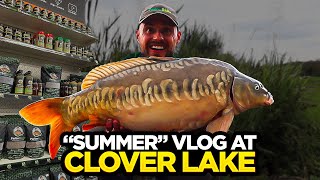 Summer Carp Fishing Vlog At Coking Farm  NEW STOCKISTS [upl. by Gaves982]