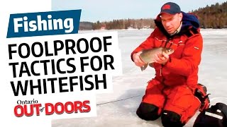 Foolproof Tactics for Winter Whitefish [upl. by Ronal262]