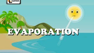 Evaporation  Elementary Science [upl. by Elwira]