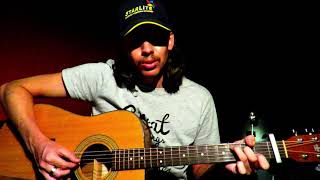 Soos Bloed  Theuns Jordaan Acoustic guitar cover by Tristan Williamson [upl. by Anneyehc40]