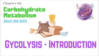 BioC09003Glycolysis 110 – Introduction  Dr Prashant Sharma [upl. by Elon]