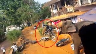 Elephant attack in Valanchery Kerala  Latest News [upl. by Lorens]