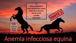 ANEMIA INFECCIOSA EQUINA  parte 1 medicina veterinária [upl. by Anneiv]