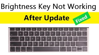 How to fix Screen Brightness Keys Not Working After Update  Hp laptop brightness keys not working [upl. by Redwine]