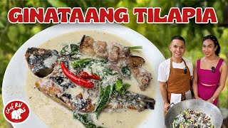 GINATAANG TILAPIA WITH ERIN  Chef RV [upl. by Akinnej558]