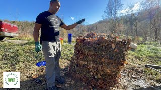 Building an 18 Day Compost Pile  The URBAN Chicken Tractor on Steroids [upl. by Alessandra154]