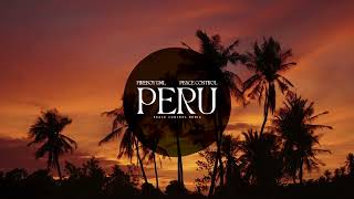 Fireboy DML  Peru Peace Control Remix [upl. by Vernen]