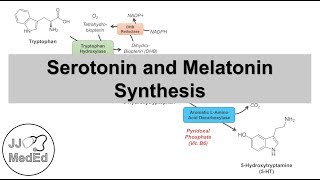 Serotonin and Melatonin Synthesis  Tryptophan Metabolism [upl. by Ridley]