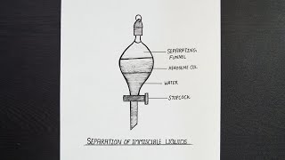 Separation Of Immiscible Liquids Diagram  Separation Of Liquids  Chemistry  Science Experiment [upl. by Nairod805]