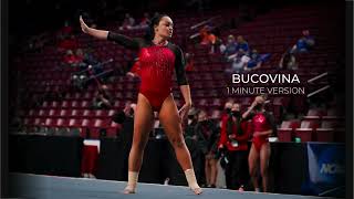 Bucovina 1 Minute Version  Gymnastics Floor Music [upl. by Spike405]