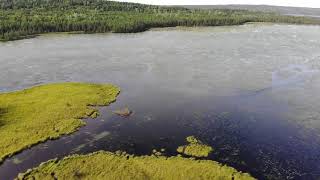 Beaver Pond [upl. by Sorips]