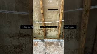 REMOVE Mold  2024 diy renovation construction homeimprovement home bleach mold cleaning [upl. by Cinimmod]