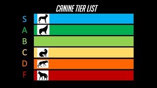 The Dog Tier List [upl. by Gombach603]