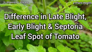 Difference in Late Blight Early Blight and Septoria Leaf Spot of TomatoDr Bhupendra S Kharayat [upl. by Ahola4]