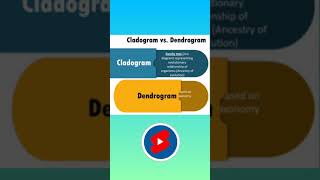 Cladogram  Cladogram vs Dendrogram  Biology shorts neet trending [upl. by Kila]