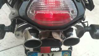 BMW R1100S LASER exhaust sound check and Lucky dog assistant [upl. by Astrahan843]