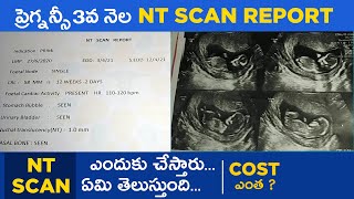 NT Scan లో ఏమి తెలుస్తుంది Cost ఎంత  Pregnancy 3rd Month Scan NT Scan Report [upl. by Iyre]