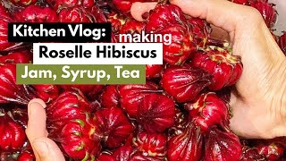 Roselle Hibiscus Harvesting making Jam Syrup amp Tea  Kitchen Vlog [upl. by Acirehs]