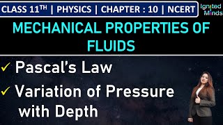 Class 11th Physics  Pascal’s Law  Variation of Pressure with Depth  Example 102  Chapter 10 [upl. by Ellahcim704]