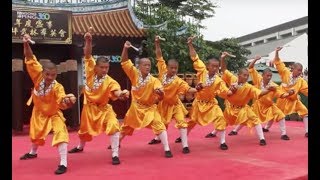 Shaolin Kungfu Masters [upl. by Zannini]