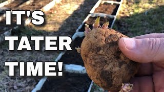 PLANTING POTATOES IN RAISED BEDS  WITH A TWIST 😎 [upl. by Analeh]