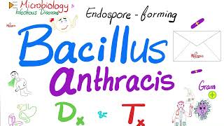 Bacillus anthracis Diagnosis amp Treatment  Microbiology 🧫 and Infectious Diseases 🦠 [upl. by Akselav]