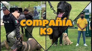 Así es un entrenamiento canino de la fuerza civil COMPAÑÍA K9 [upl. by Razaele]