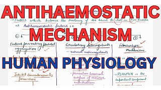 Antihaemostatic mechanism fibrinolysis Telegram httpstmedrshikhasaxenahumanphysio [upl. by Analla]