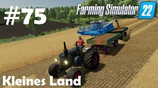 LS22 Kleines Land 75 Ab in die Ernte Gerste verdreschen amp Lanz fahren  Farming Simulator 22 [upl. by Borras115]