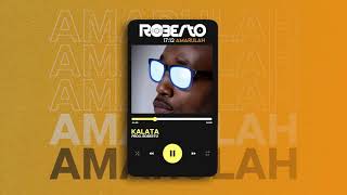 Roberto  Kalata Official Audio [upl. by Cowey]