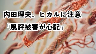 内田理央、ヒカルに注意「風評被害が心配」 ヒカル 内田理央 交際 炎上 警告 [upl. by Luigino355]