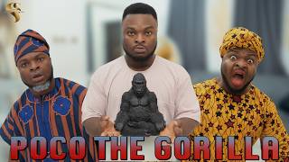 AFRICAN HOME POCO THE GORILLA [upl. by Nilram746]