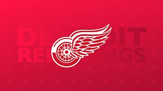 Detroit Red Wings 2024 Goal Horn [upl. by Sairtemed294]