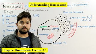 Homeostasis Introduction and Overview [upl. by Enaht]