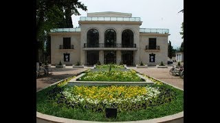 თბილისი არტ ჰოლი Tbilisi Art Hall [upl. by Berns]