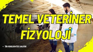 🔬 Temel Veteriner Fizyoloji Hayvanların İç Dünyasını Keşfedin  LBV107U 🐾 [upl. by Godiva]