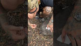 Removing TICKS off my TORTOISE 😤 reptile tortoise wildlife animals shorts [upl. by Ponton]