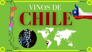 Vinos de CHILE ▶ 🍷Clima uvas y regiones vinícolas [upl. by Dubenko]