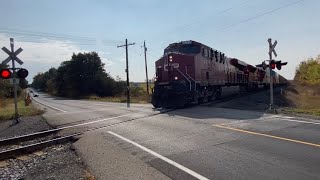 P3 HORN CP 9372 at Palgrave OCT 14 2022 [upl. by Llenra]