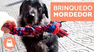 BRINQUEDO MORDEDOR de nós para cachorros FEITO EM CASA [upl. by Brecher185]