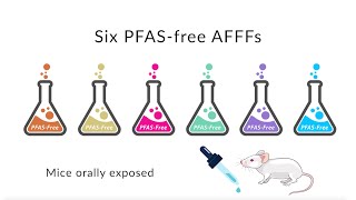 ER201508 Assessing the Ecotoxicity of PFASFree Firefighting Formulations in Mice [upl. by Normy]