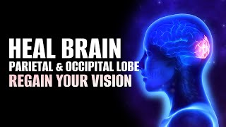 Heal Brain Parietal and Occipital Lobe  Regain Your Vision  Recovery from Traumatic Brain Injury [upl. by Deva883]