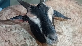 Amazing Live Fastest Pomfret Big Goat Head Cutting And Cleaning Skills [upl. by Nahsez]