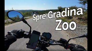 Spre Gradina Zoo  Motovlog 4K [upl. by Docile]