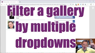 PowerApps filter gallery by dropdown [upl. by Peppard]