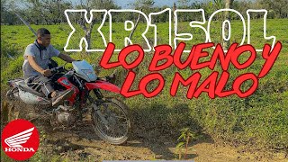 HONDA XR150l  2023  Lo Bueno Y Lo Malo [upl. by Xineohp164]