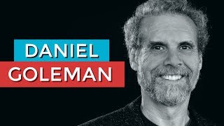 Daniel Goleman  Liderazgo e Inteligencia Social [upl. by Lesig]