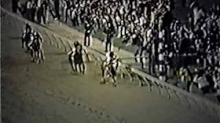 SECRETARIAT  1973 Preakness Stakes Alternate Footage [upl. by Reiss]